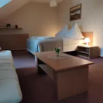 Hotel Modrasek *