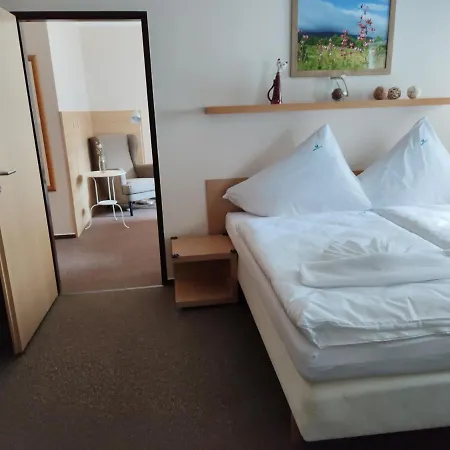 Hotel Modrasek *