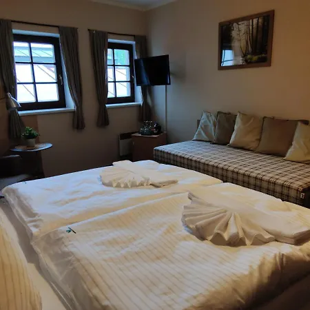 Hotel Modrasek *