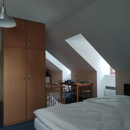 Hotel Modrasek *